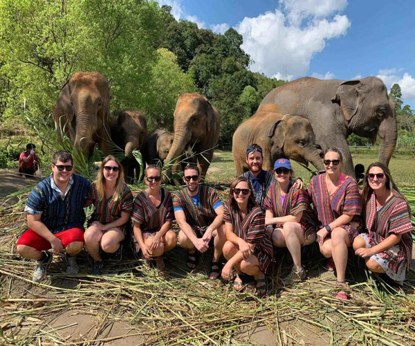 Elephant  Jungle Sanctuary Tour