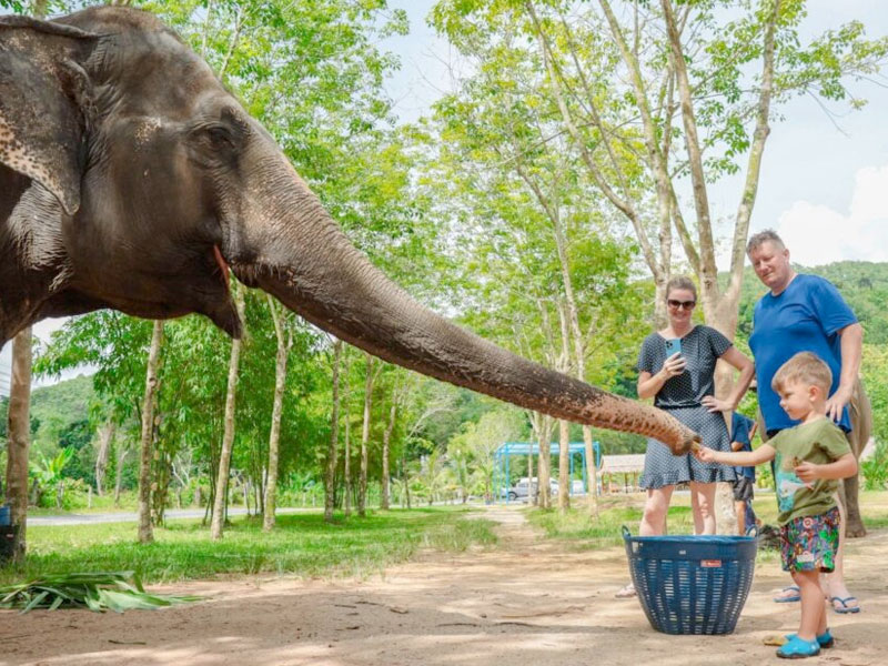 Elephant Green Sanctuary Park