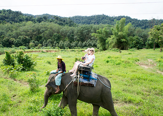 Phuket Elephant Trekking Tours