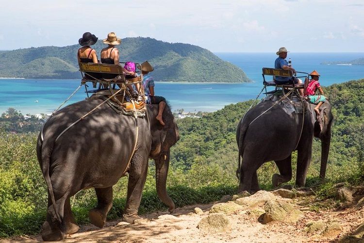 Phuket Elephant Trekking Tours