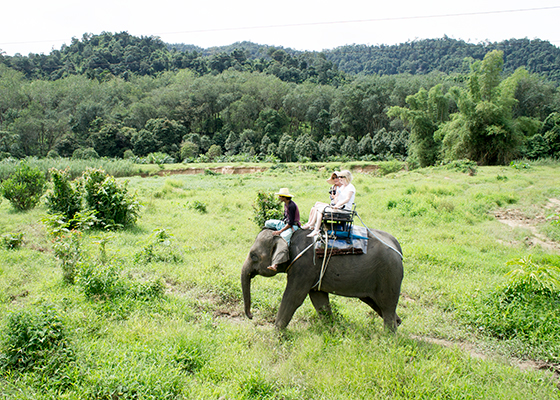 Khao Lak Jungle Safari Tour