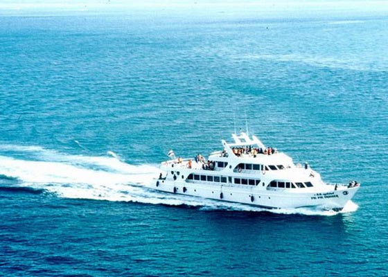 Phi Phi Island Tour by big boat