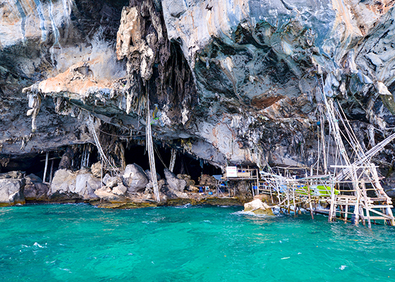 Phi Phi Island Tour by big boat