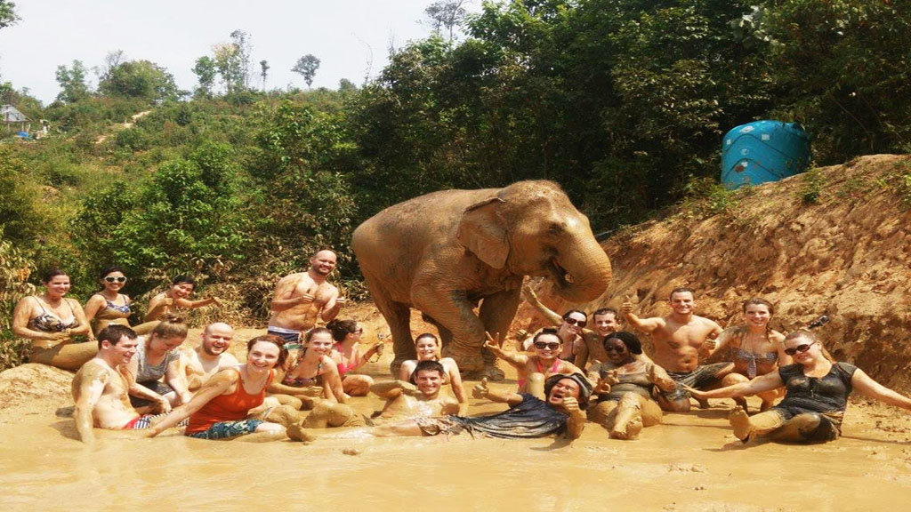 Elephant  Jungle Sanctuary Tour