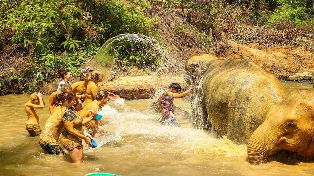 Elephant Jungle Sanctuary Park