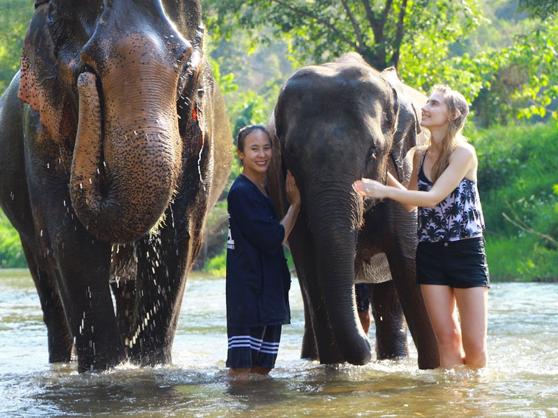 Elephant Green Sanctuary Park