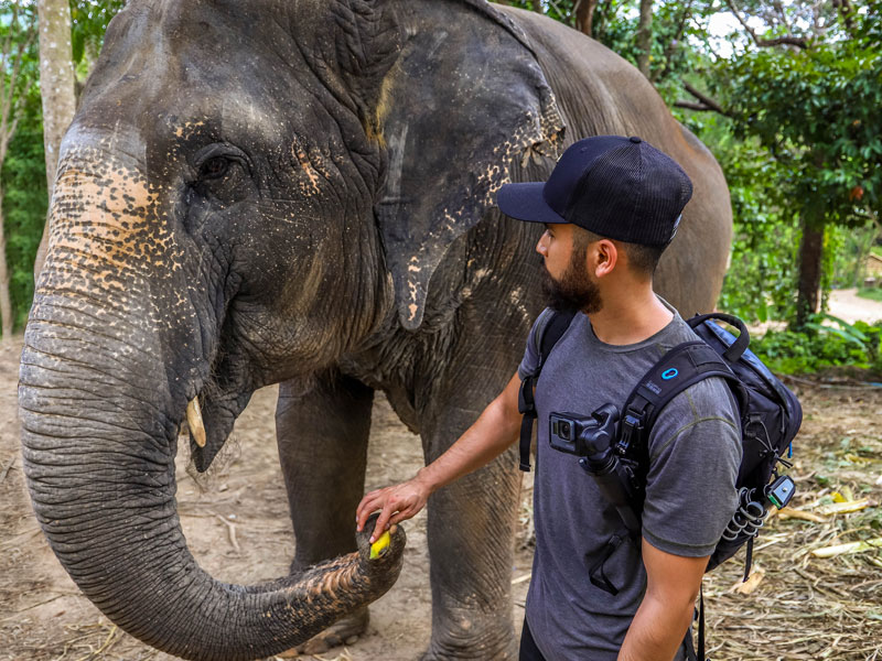 Elephant Green Sanctuary Park