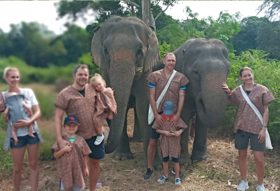 Phuket Elephant sanctuary Tour