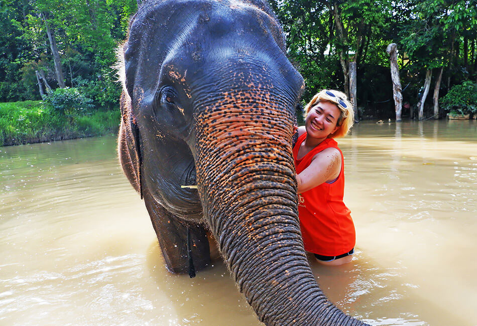 Phuket Elephant sanctuary Tour