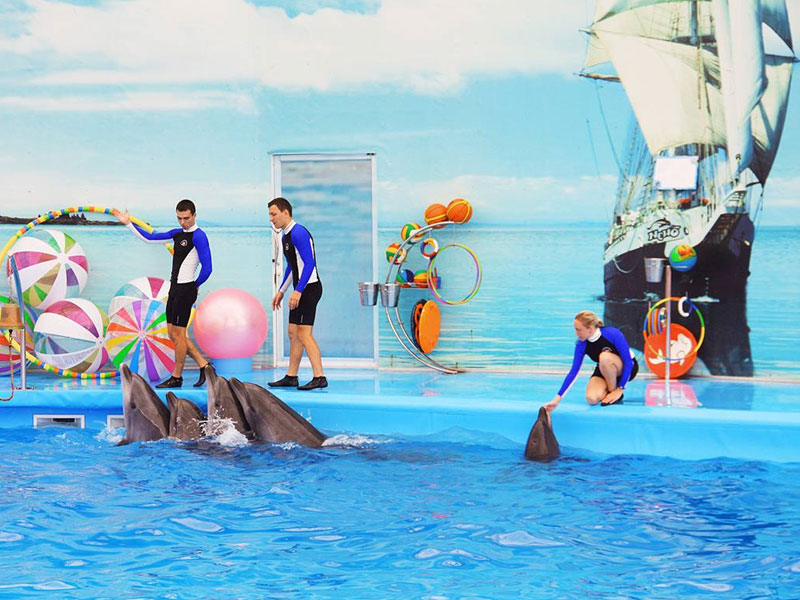 Phuket Dolphin Show