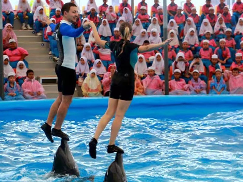 Phuket Dolphin Show