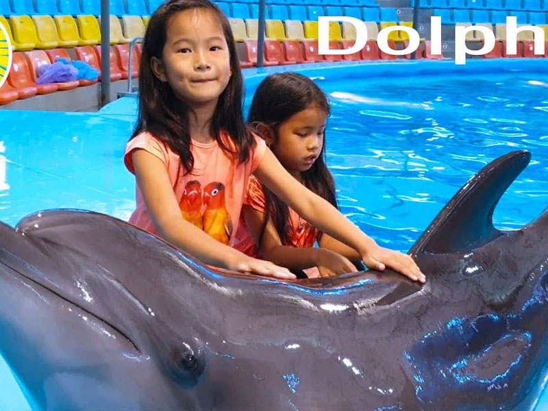 Phuket Dolphin Show