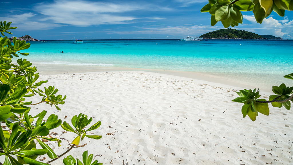 Private Speedboat Charters Similan Islands