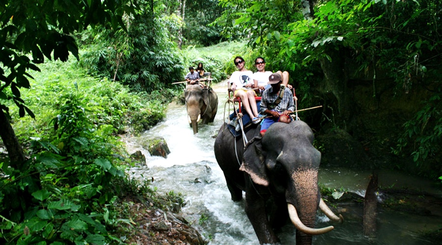 Private Khao Sok Safari Tour