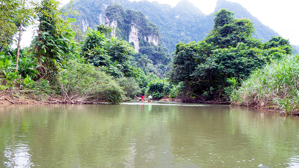 Private Khao Sok Safari Tour