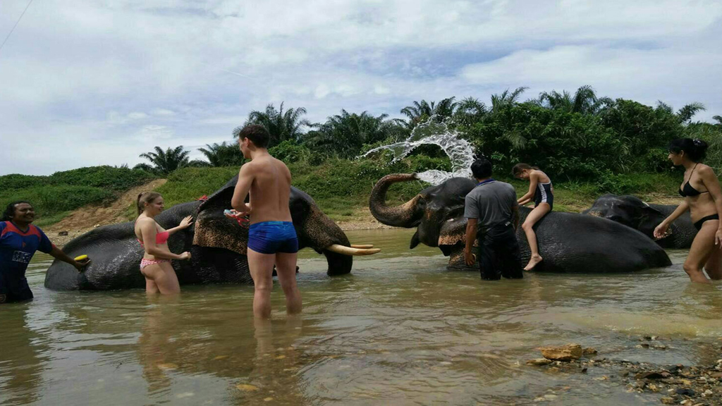 Private Khao Sok Safari Tour